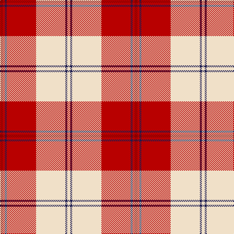 DR/6 R4 DB4 R60 W60 DB4 W/6 tartan Tartan detail