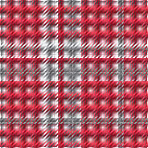 N/4 W2 R38 Na10 N6 W3 R/6 tartan Tartan detail