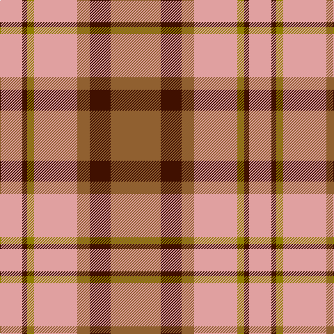 LR/32 DR7 LG10 LR62 LT18 DR30 LT/72 tartan Tartan detail