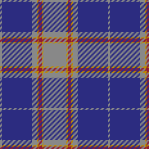 N/6 DB98 N16 DY4 DR12 DY4 N/74 tartan Tartan detail