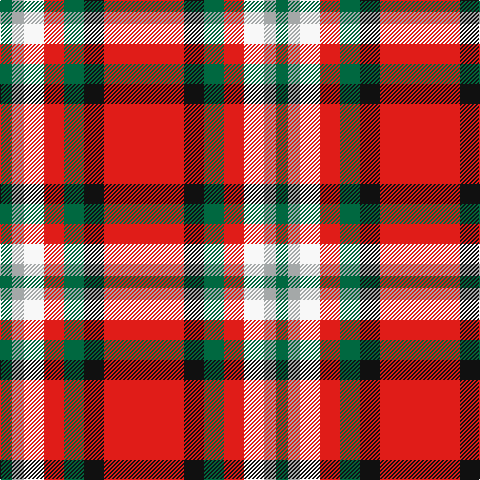 G/12 N12 W20 R20 G20 K20 R/80 tartan Tartan detail