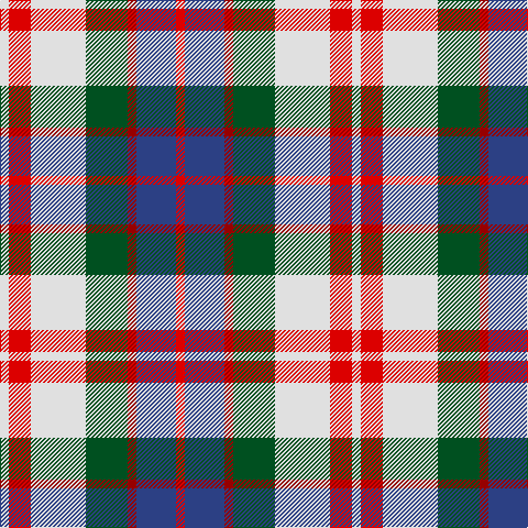 LN/8 R20 LN50 G38 DR8 B36 R/8 tartan Tartan detail