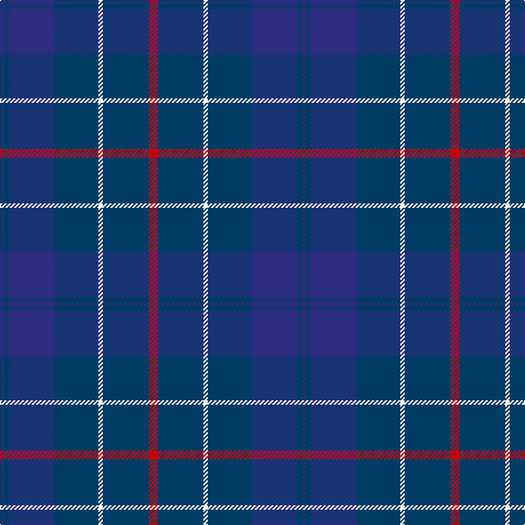 DBa/4 DB4 DBa42 DB40 W4 DB42 R/8 tartan Tartan detail