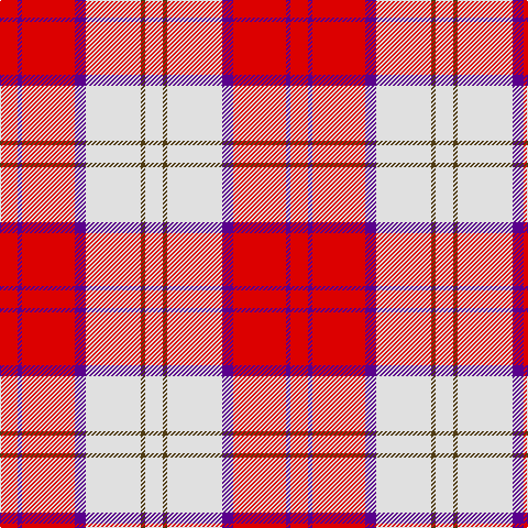 R/16 P4 R48 P10 LN50 T4 LN/16 tartan Tartan detail