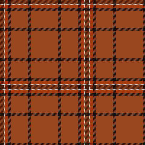 DR/12 LN4 R10 K10 T56 K10 T/90 tartan Tartan detail