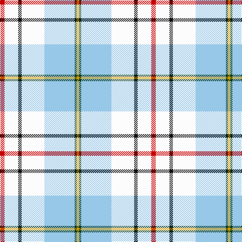 Tartan detail