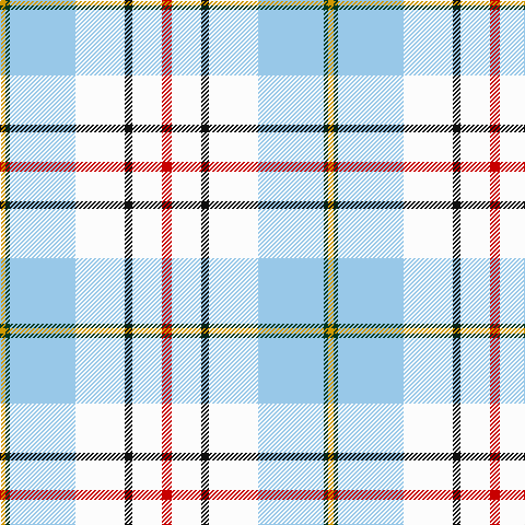DY/5 DG4 LB60 W45 K7 W27 R/9 tartan Tartan detail