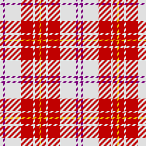 LN/10 P6 LN52 R40 LN6 R16 Y/6 tartan Tartan detail