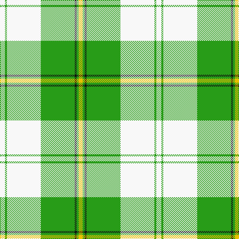 W/10 G4 W68 G68 K4 G4 Y/8 tartan Tartan detail