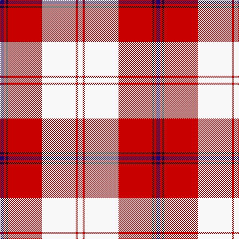 DB/8 R4 K4 R68 W68 R4 W/10 tartan Tartan detail