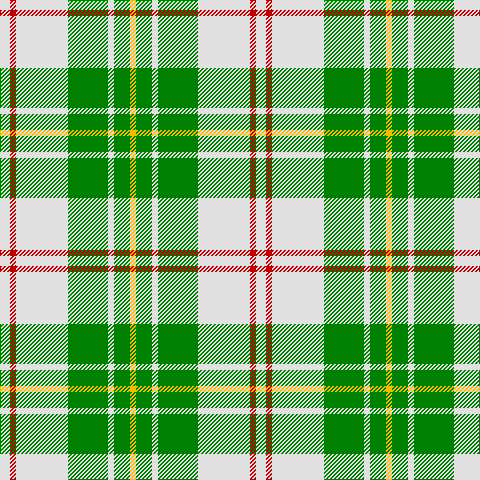 LN/10 R6 LN52 G40 LN6 G16 Y/6 tartan Tartan detail