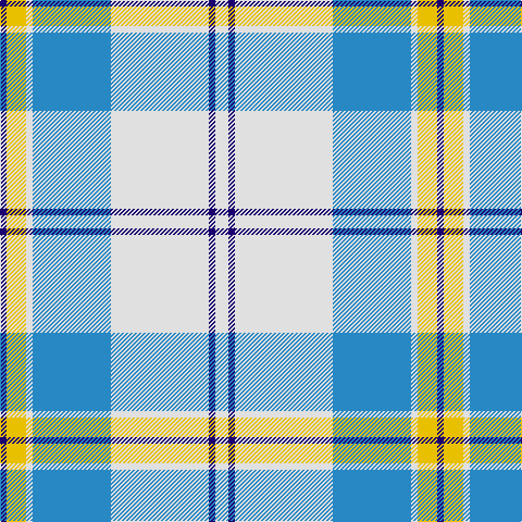 DB/6 Y18 LN6 B72 LN90 DB6 LN/12 tartan Tartan detail
