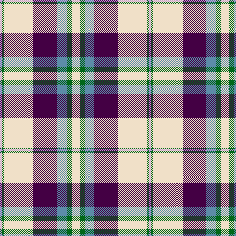 LP/4 G4 W60 DP48 B20 G10 W/16 tartan Tartan detail