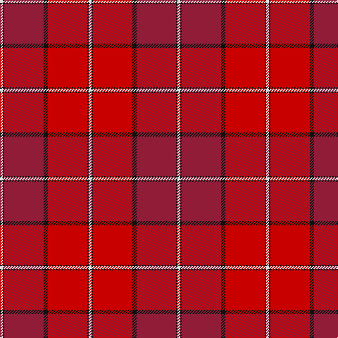 LN/4 K2 DR56 K6 R56 K2 LN/4 tartan Tartan detail