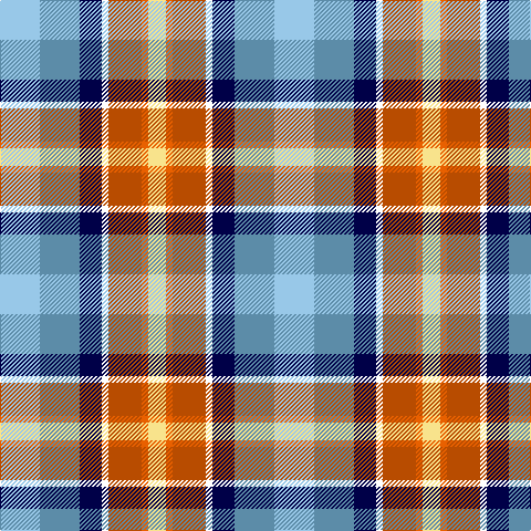 LB/36 B36 DB20 W6 DO30 O6 LY/16 tartan Tartan detail