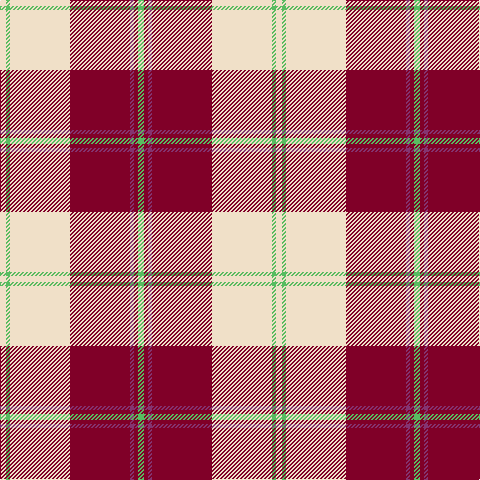 Tartan detail