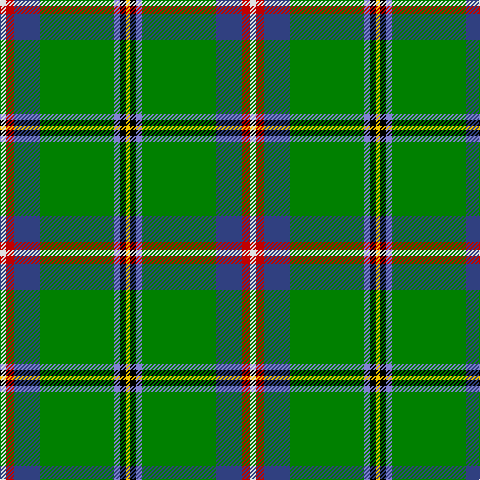 LN/6 R8 Ba26 G74 B6 K6 Y/4 tartan Tartan detail