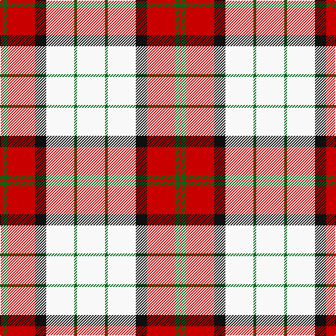 R/4 G6 R40 K16 W40 G4 W/40 tartan Tartan detail