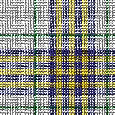 LN/48 G4 LN16 DB10 Y8 DB10 Y/8 tartan Tartan detail
