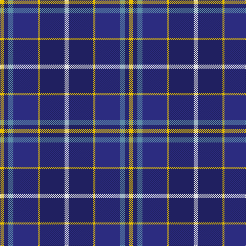 Tartan detail