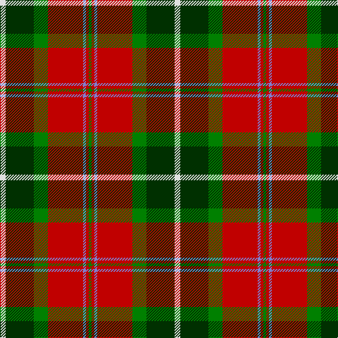 G/4 R4 B4 R50 G20 DG40 LN/8 tartan Tartan detail