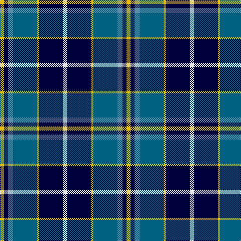Tartan detail