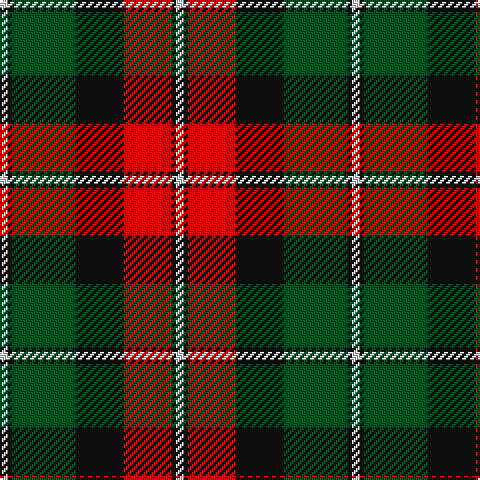 LN/4 K2 G32 K24 R24 K2 LN/4 tartan Tartan detail