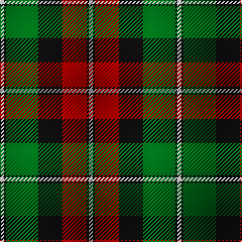 LN/4 K2 G32 K24 R24 K2 LN/4 tartan Tartan detail