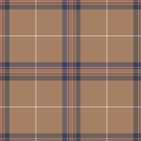 Tartan detail
