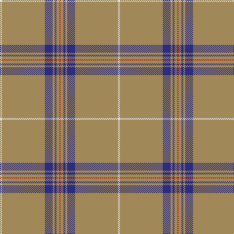 Tartan detail