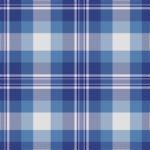 B/14 LP4 DB4 LN8 B38 Ba38 LN/56 tartan Tartan detail