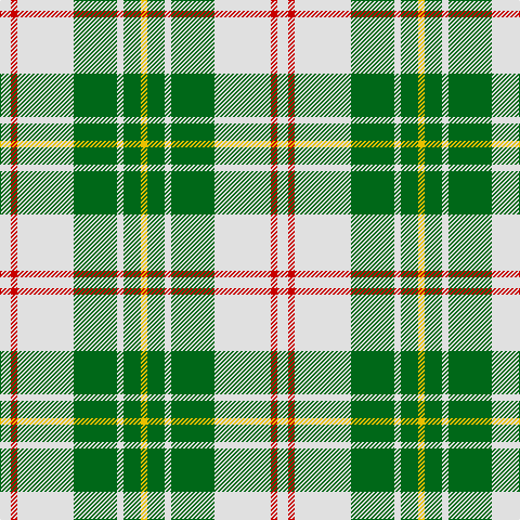 LN/10 R6 LN52 G40 LN6 G16 Y/6 tartan Tartan detail