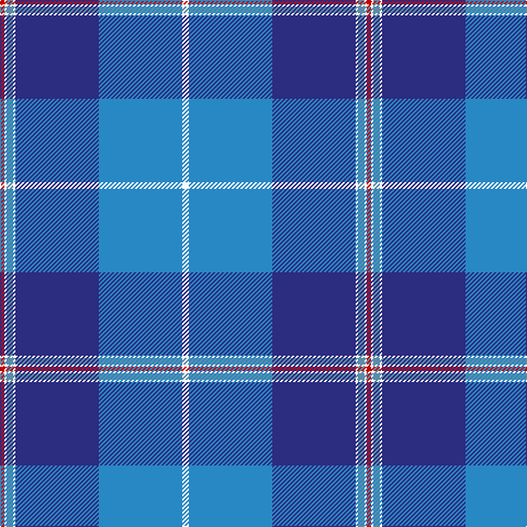 Tartan detail