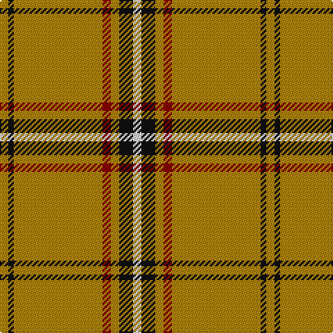 DY/6 K4 DY64 DR6 DY6 K10 LN/6 tartan Tartan detail