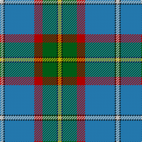 LN/6 K2 B50 R14 G24 K2 Y/6 tartan Tartan detail