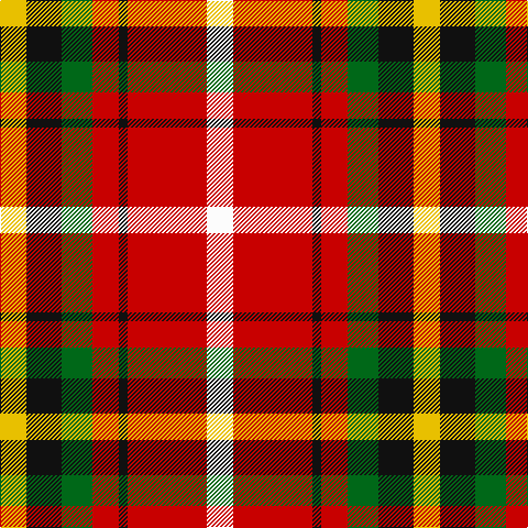 Y/24 K32 G28 R24 K8 R72 W/24 tartan Tartan detail