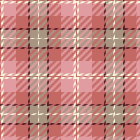 Tartan detail
