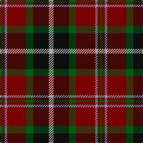 G/4 DR4 LP4 DR32 G12 K26 N/8 tartan Tartan detail