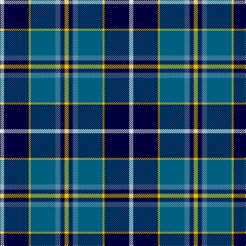 Tartan detail