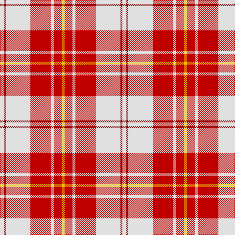 LN/8 DR4 LN50 R42 LN6 R16 Y/6 tartan Tartan detail