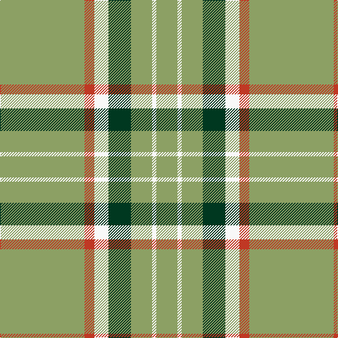 Tartan detail