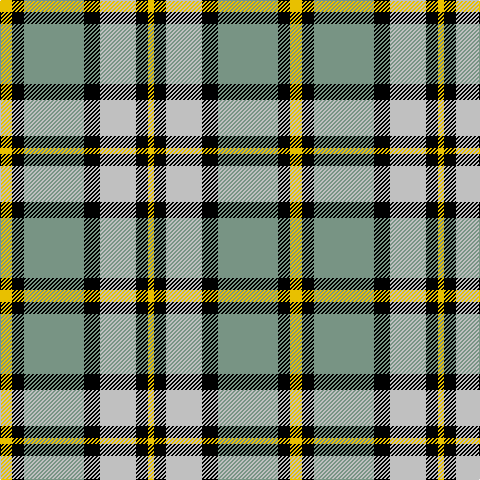 Y/12 K12 LGa60 K16 Nb36 K12 Y/6 tartan Tartan detail