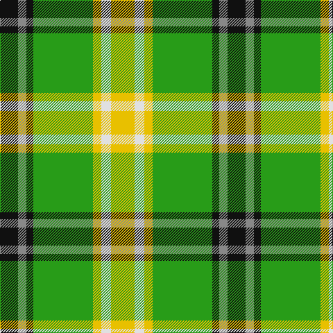 Tartan detail