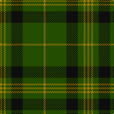 DY/4 G4 DY4 G12 K24 G44 DY/4 tartan Tartan detail