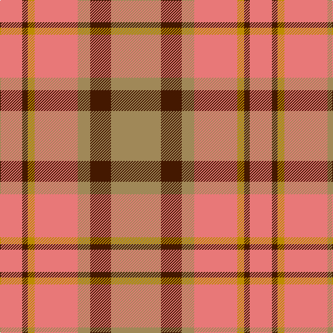 LR/32 DR8 DY10 LR62 LT18 DR30 LT/72 tartan Tartan detail