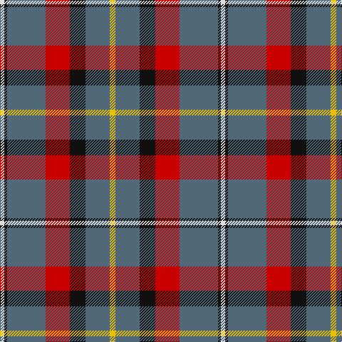 LN/6 K4 N54 R34 K22 N34 Y/8 tartan Tartan detail