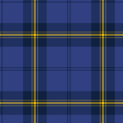 B/6 DB4 B80 DB34 Y2 DB6 Y/8 tartan Tartan detail
