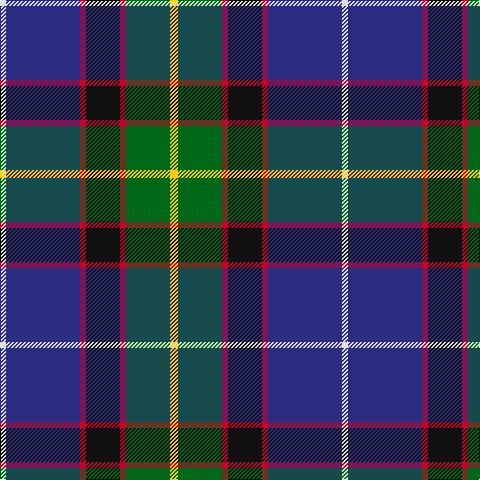 LN/6 DB74 R6 K34 R6 G44 Y/8 tartan Tartan detail
