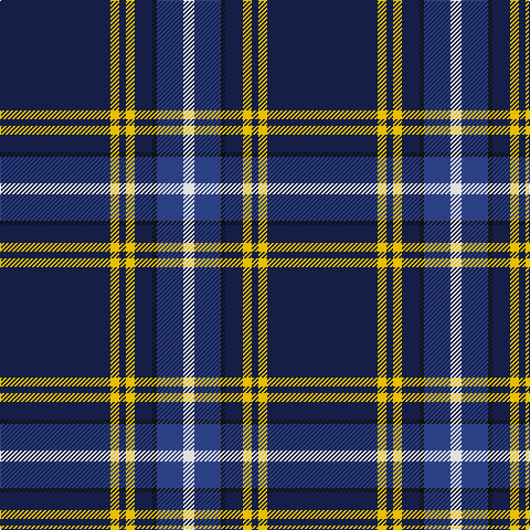 Tartan detail