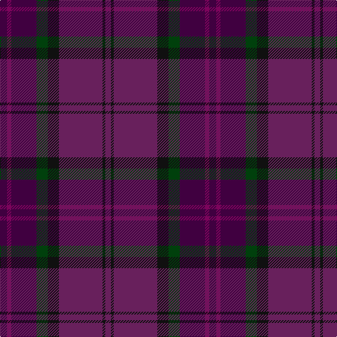 DP/10 Pa6 DP36 DG16 K16 P62 K4 P/8 tartan Tartan detail